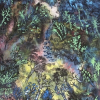 艺术家作品